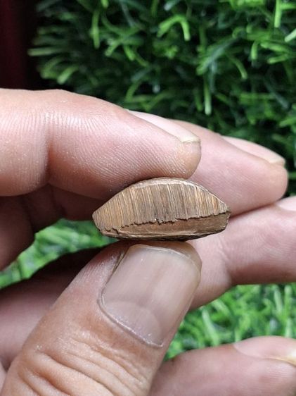 (ปิดแล้วครับ)รุ่น1พ่อพูลวัดไผ่ล้อม ตอกโค๊ตชัด สภาพสวย รูปที่ 5