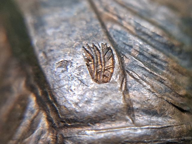 (ปิดแล้วครับ)รุ่น1พ่อพูลวัดไผ่ล้อม ตอกโค๊ตชัด สภาพสวย รูปที่ 6