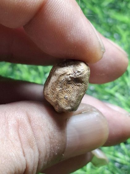 พระคงองค์คราบน้ำหมาก เนื้อดินเก่า รูปที่ 3