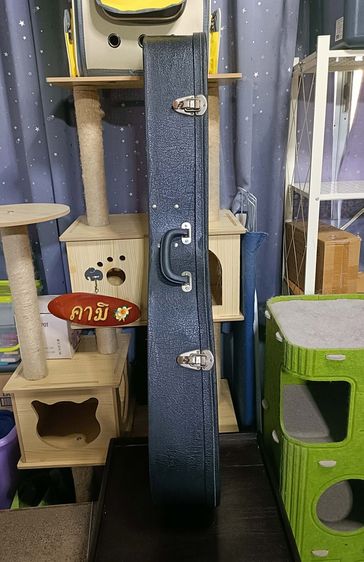 💟 กล่องใส่กีต้าร์โปร่ง รูปที่ 5