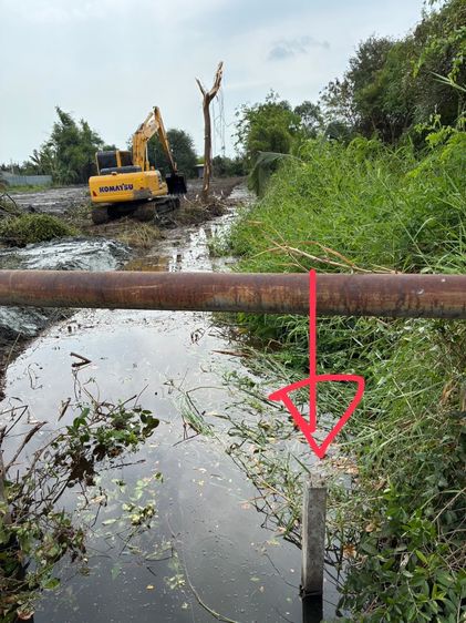 ขายที่ดินสมุทรสงครามติดถนนชนบทและคลอง รูปที่ 4