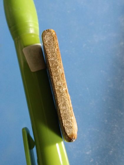 พระสมเด็จเกษไชโยแท้ รูปที่ 2