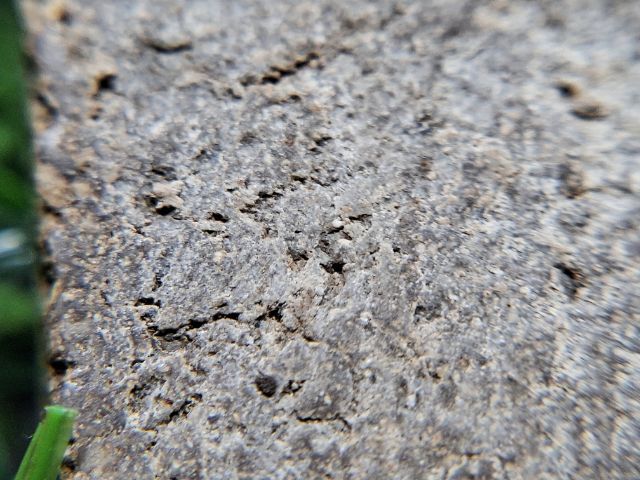 สมเด็จเนื้อผงเก่า รูปที่ 4