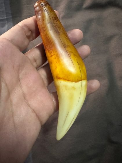 ของขลังของเก่าจากลุงที่อยุ่รัฐฉานพม่าเอามาให้ขาย รูปที่ 3