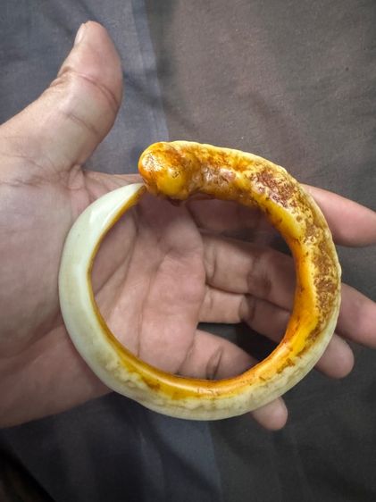 ของขลังของเก่าจากลุงที่อยุ่รัฐฉานพม่าเอามาให้ขาย รูปที่ 17