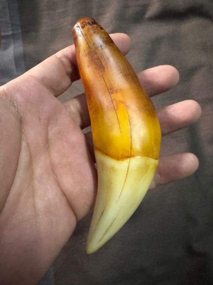 ของขลังของเก่าจากลุงที่อยุ่รัฐฉานพม่าเอามาให้ขาย รูปที่ 2