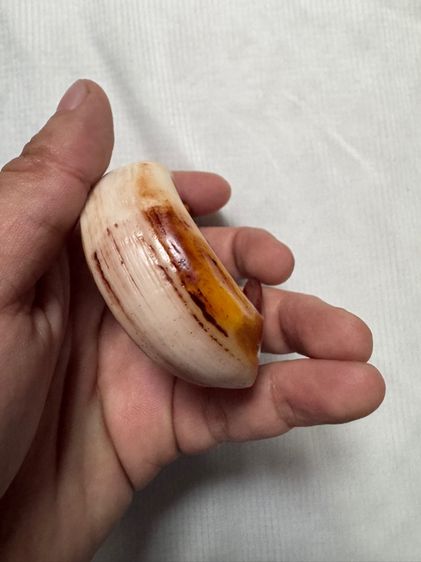 ของขลังของเก่าจากลุงที่อยุ่รัฐฉานพม่าเอามาให้ขาย รูปที่ 17