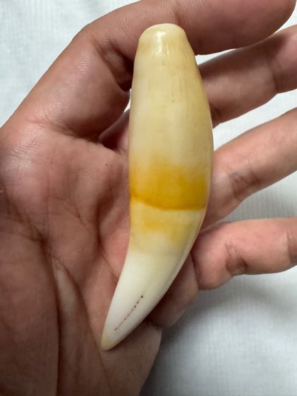 ของขลังของเก่าจากลุงที่อยุ่รัฐฉานพม่าเอามาให้ขาย รูปที่ 12