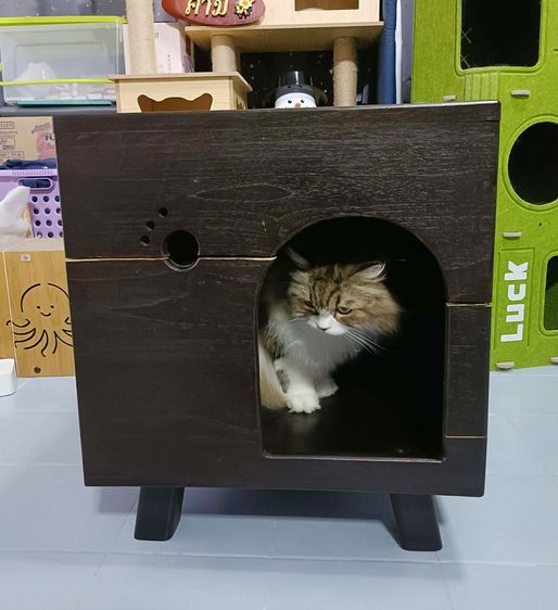 💟 โต๊ะข้างเตียง (บ้านแมว) งานสั่งทำ ไม้สักแท้  รูปที่ 6