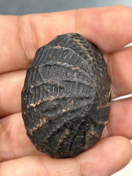 พระสะสมเก่า รูปที่ 7