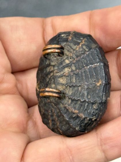 พระสะสมเก่า รูปที่ 4