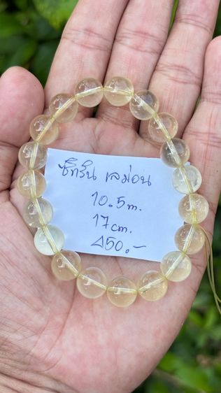 หิมแท้ พลังงานธรรมชาติ รูปที่ 10