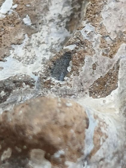 พระกรุนาดูนปรกเดี่ยวใหญ่ รูปที่ 5