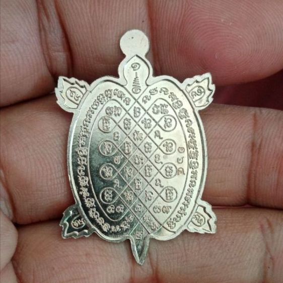 เต่ารวยเจริญ อ.วิชิต รูปที่ 2