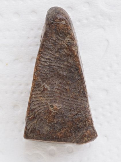 พระผงสุพรรณ 23016909 รูปที่ 2