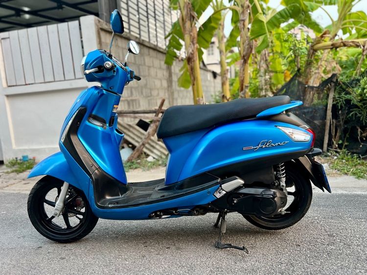 grand filano รูปที่ 4