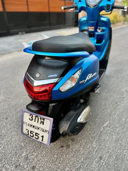 grand filano รูปที่ 7