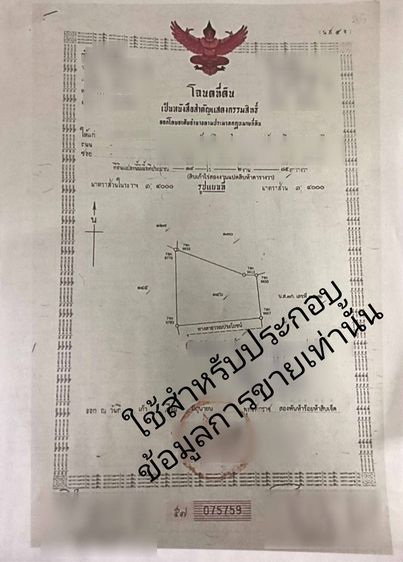 🚩  ประกาศ ขายที่ดิน 