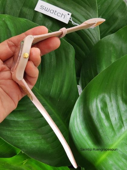 SWATCH EMBROIDERY (SUOP108) รูปที่ 17