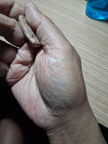 พระลีลาเม็ดขนุน รูปที่ 9