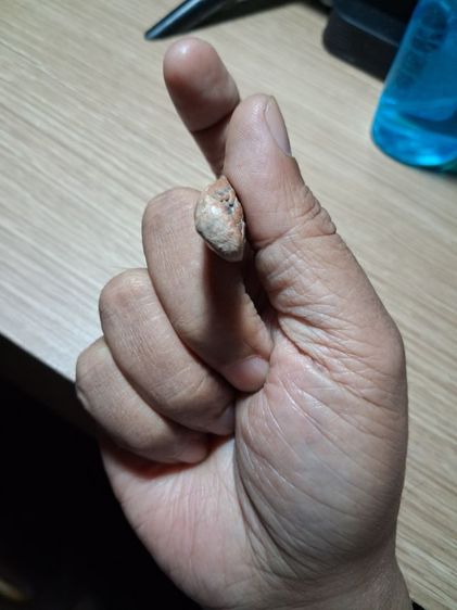 พระลีลาเม็ดขนุน รูปที่ 6