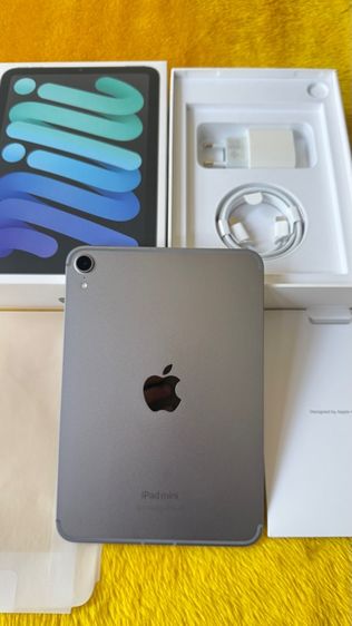 iPad Mini A17 Pro(mini7)-sim รูปที่ 12