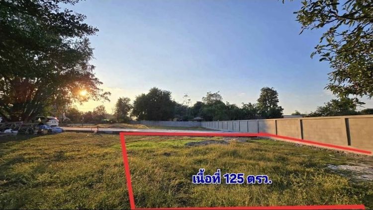 ใช่ ที่ดินทำเลทอง ใกล้ตลาด ถนนเลี่ยงเมืองต้นเปา-สันกำแพง เดินไปตลาด 2นาที รูปที่ 2