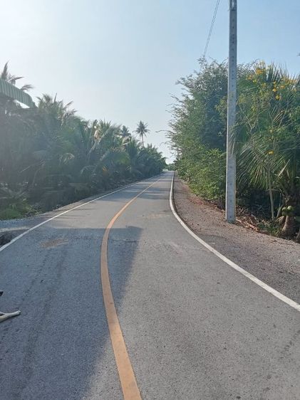 ใช่ ที่ดิน บ้านแพ้ว สวนมะพร้าว  รูปที่ 4