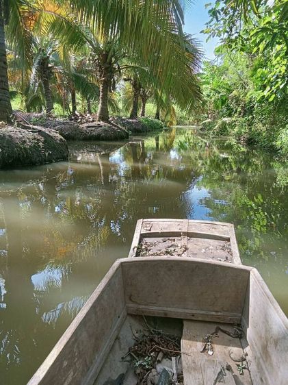 ใช่ ที่ดิน บ้านแพ้ว สวนมะพร้าว  รูปที่ 2