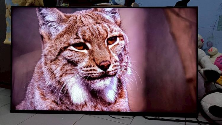 🖥SONY Google TV 55 นิ้ว 4k HDR จอไร้ขอบ ไม่มีตำหนิ แถมชุดแขวนผนัง มีกล่องใส่ทีวีให้ รูปที่ 14