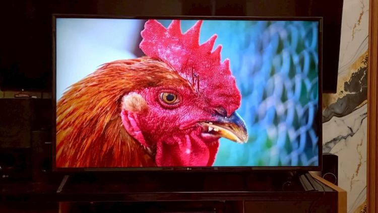 🖥LG Smart TV 55 นิ้ว 4K HDR อุปกรณ์ครบ ไม่มีตำหนิ ภาพสีสด
มีกล่องใส่ให้ รูปที่ 4