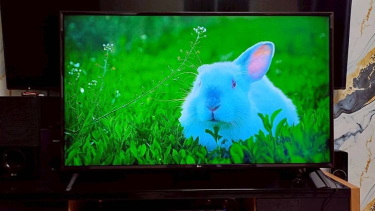 🖥LG Smart TV 55 นิ้ว 4K HDR อุปกรณ์ครบ ไม่มีตำหนิ ภาพสีสด
มีกล่องใส่ให้ รูปที่ 2