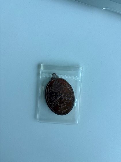 เหรียญแม่ทัพ พหูรมาน หลวงปู่ศิลา รูปที่ 3