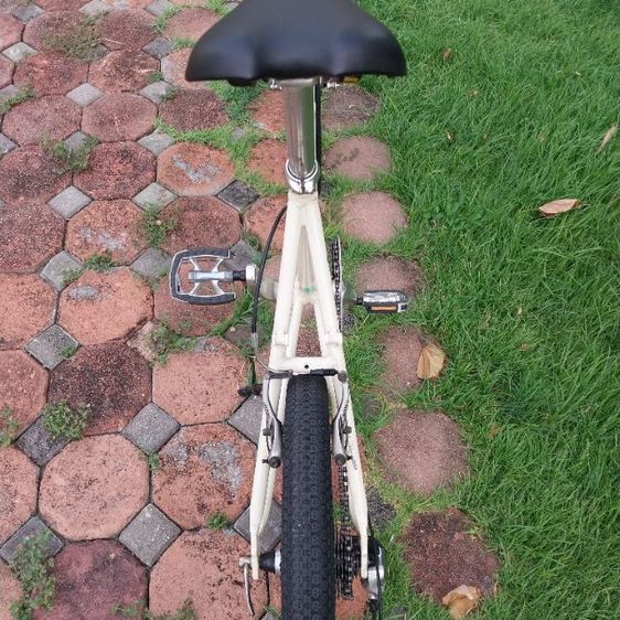 มินิเวลโล ทรงลุง เบี่ยงคี่