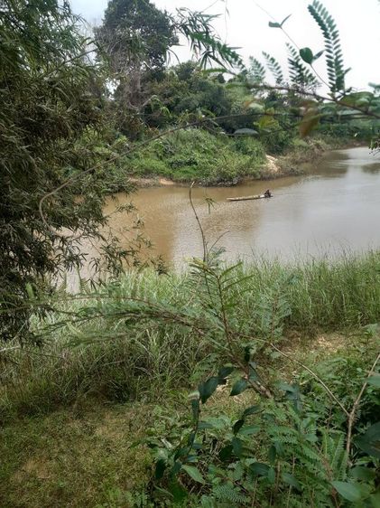 ใช่ Agricultural land ที่ดินเกษตร รูปที่ 4