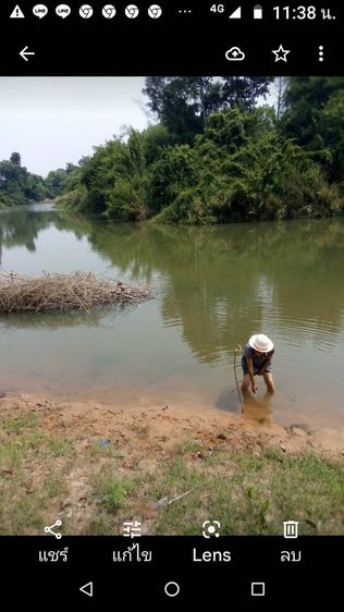 ใช่ Agricultural land ที่ดินเกษตร รูปที่ 3