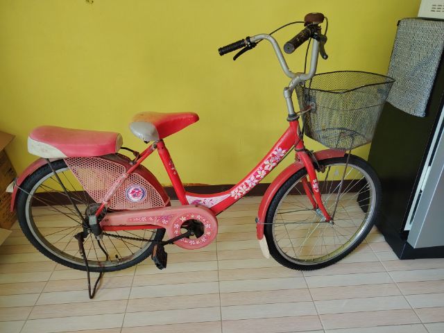 จักรยาน​แม่บ้าน รูปที่ 2