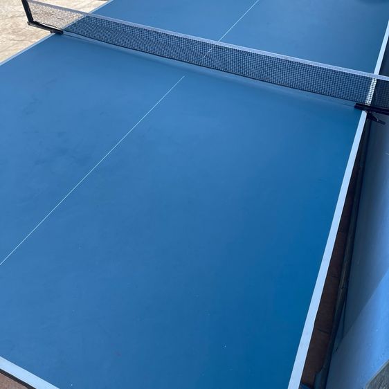 โต๊ะปิงปอง Dragonfly 15mm รูปที่ 2