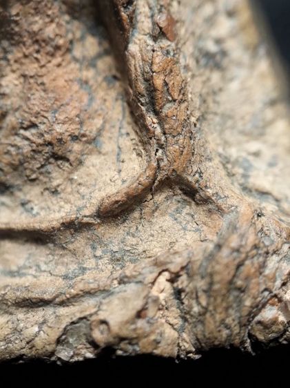 ❌ปิดครับ❌พระนางพญาเนื้อดินครับ รูปที่ 12