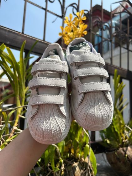 รองเท้า รูปที่ 3