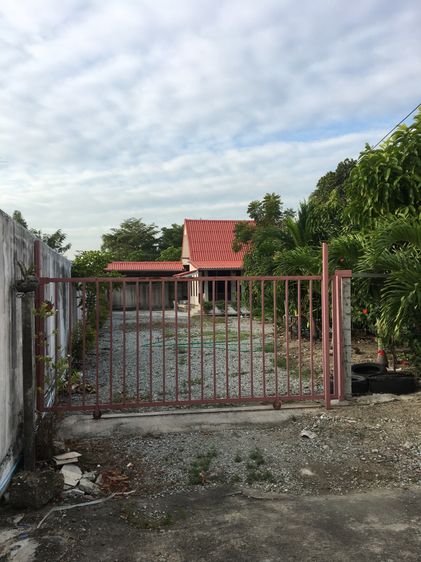 มีบางส่วน ขายบ้านริมน้ำ 243 ตรว บางบ่อ สมุทรปราการ ราคาถูก รูปที่ 2