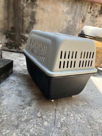 กล่องเดินทางสัตว์เลี้ยงขนาดใหญ่