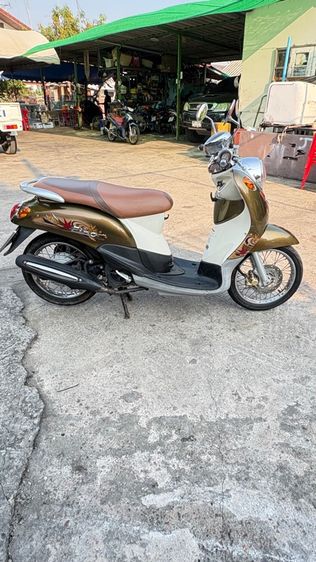 ฟีโน่ปี10