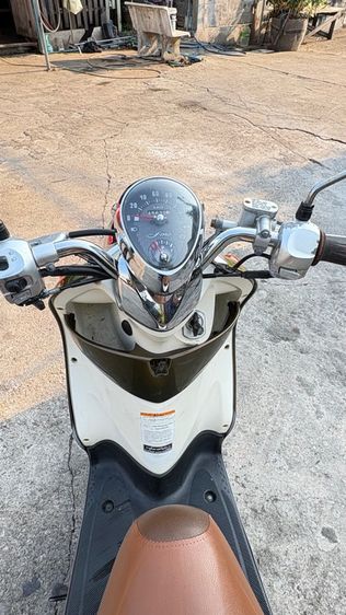 ฟีโน่ปี10 รูปที่ 5