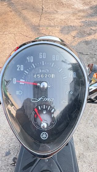 ฟีโน่ปี10 รูปที่ 8