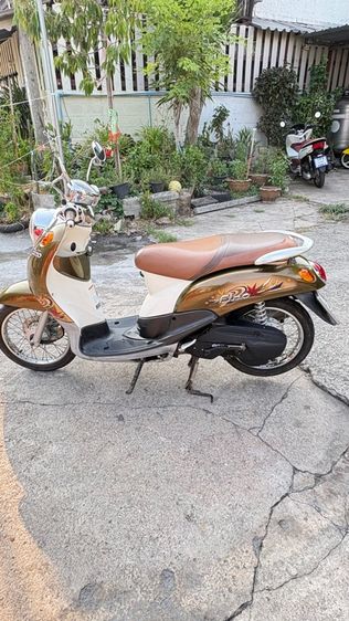 ฟีโน่ปี10 รูปที่ 2