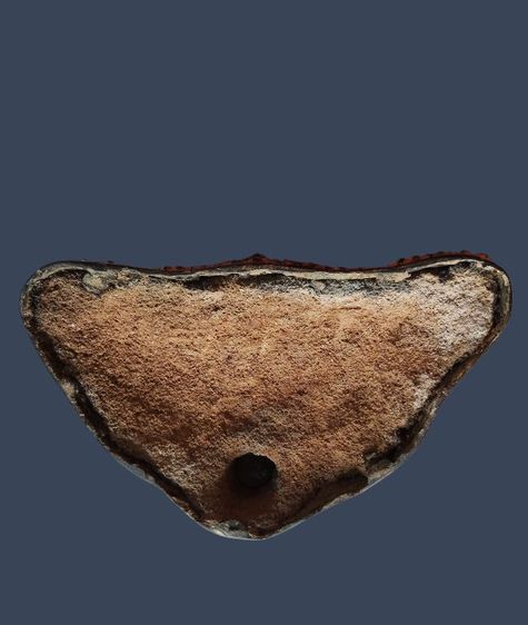 พระนาคปรก ยุครัตนะ หน้าตัก 4.5 นิ้ว รูปที่ 5