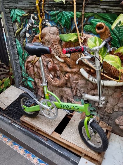 จักรยานเด็ก อลูมิเนียม รูปที่ 17