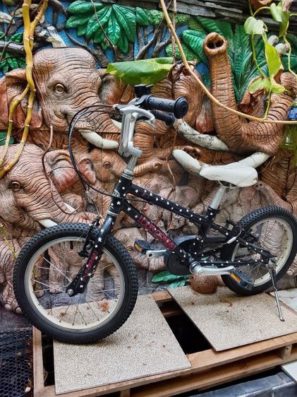 จักรยานเด็ก อลูมิเนียม รูปที่ 3