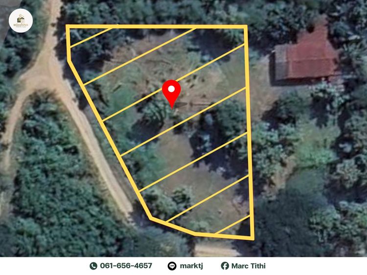 ขายด่วน🔥 ที่ดิน เมืองเพชรบูรณ์ ทำเลสวย บรรยากาศดี ติดถนนสาธารณะ รูปที่ 3